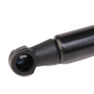 Bonnet Gas RIDEX 1207G0005 1207G0005 - photo 4