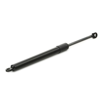 Bonnet Gas RIDEX 1207G0002 1207G0002 - photo 4