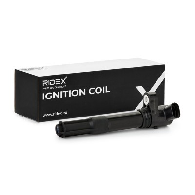 Ignition Coil RIDEX 689C0009 689C0009 - photo 2