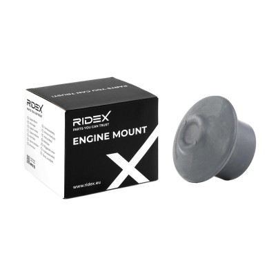 Engine Mounting RIDEX 247E0155 247E0155 - photo 2