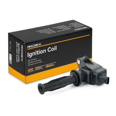 Ignition Coil RIDEX 689C0257 689C0257 - photo 2