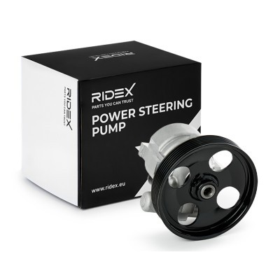 Hydraulic Pump, Steering System RIDEX 12H0597 12H0597 - photo 2