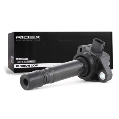 Ignition Coil RIDEX 689C0189 689C0189 - photo 3