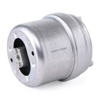 Engine Mounting RIDEX 247E0313 247E0313 - photo 3