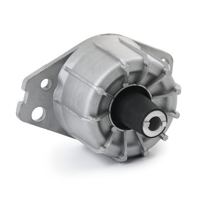 Engine Mounting RIDEX 247E0197 247E0197 - photo 3