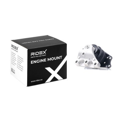 Engine Mounting RIDEX 247E0203 247E0203 - photo 2