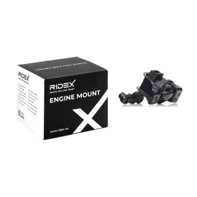 Engine Mounting RIDEX 247E0435 247E0435 - photo 2