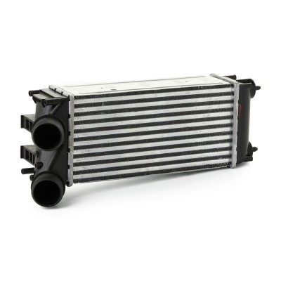 Intercooler, Charger RIDEX 468I0305 468I0305 - photo 7