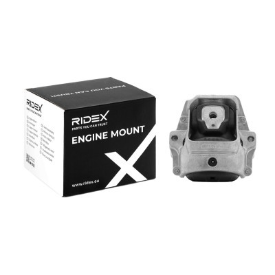 Engine Mounting RIDEX 247E0445 247E0445 - photo 2