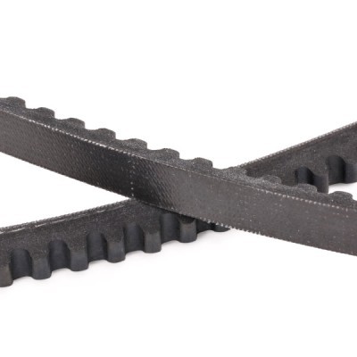 V-Belt RIDEX 10C0079P 10C0079P - photo 5