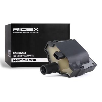 Ignition Coil RIDEX 689C0200 689C0200 - photo 2