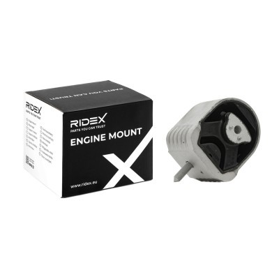 Engine Mounting RIDEX 247E0293 247E0293 - photo 2