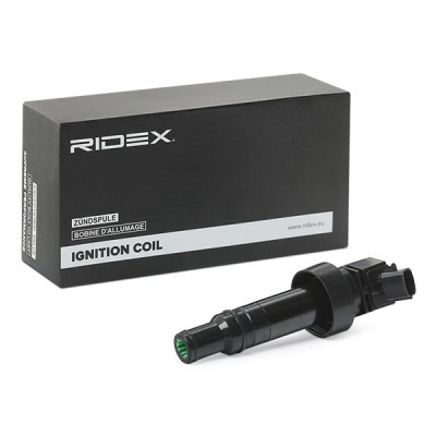 Ignition Coil RIDEX 689C0344 689C0344 - photo 2