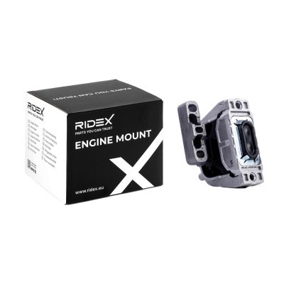 Engine Mounting RIDEX 247E0613 247E0613 - photo 2