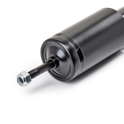 Shock Absorber RIDEX 854S19440 854S19440 - photo 4