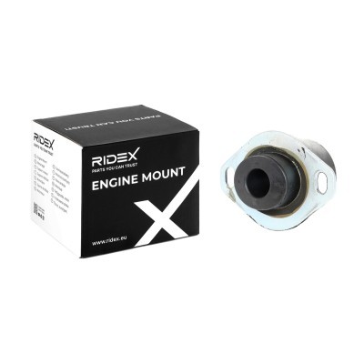 Engine Mounting RIDEX 247E0066 247E0066 - photo 2