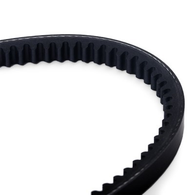 V-Belt RIDEX 10C0016 10C0016 - photo 3