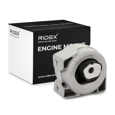 Engine Mounting RIDEX 247E1256 247E1256 - photo 2