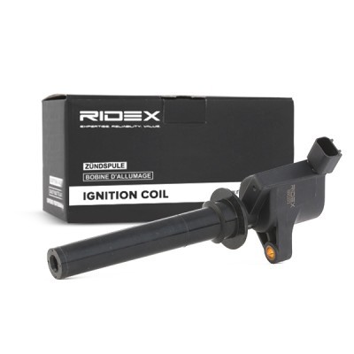 Ignition Coil RIDEX 689C0072 689C0072 - photo 3