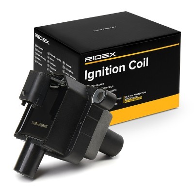 Ignition Coil RIDEX 689C0205 689C0205 - photo 2