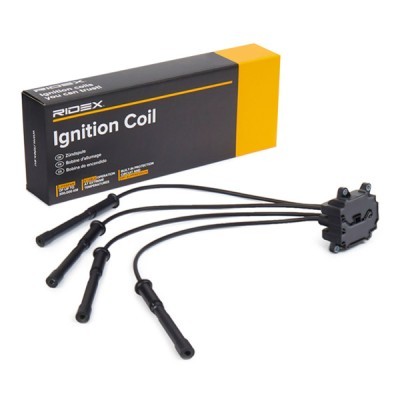 Ignition Coil RIDEX 689C0073 689C0073 - photo 2