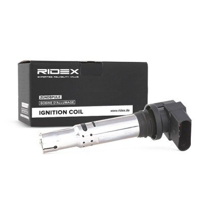 Ignition Coil RIDEX 689C0003 689C0003 - photo 3
