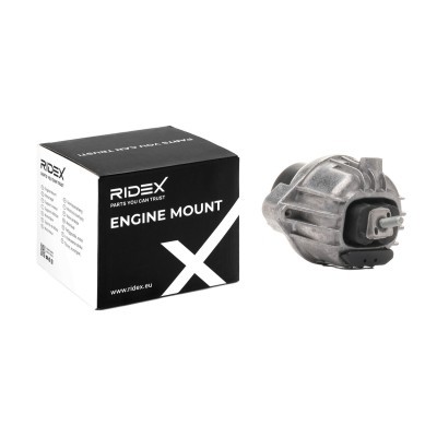Engine Mounting RIDEX 247E0443 247E0443 - photo 2