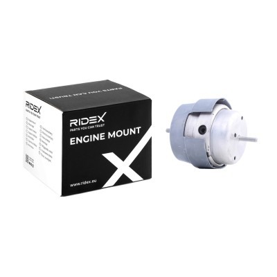 Engine Mounting RIDEX 247E0263 247E0263 - photo 2