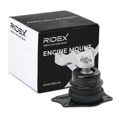 Engine Mounting RIDEX 247E0820 247E0820 - photo 2