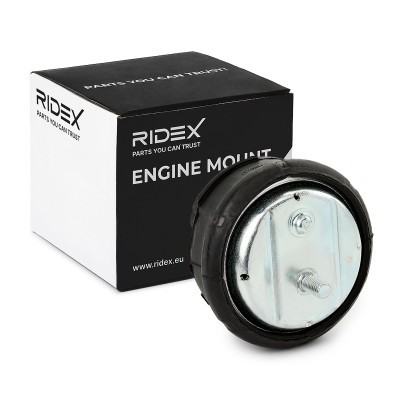 Engine Mounting RIDEX 247E0043 247E0043 - photo 2