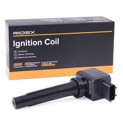 Ignition Coil RIDEX 689C0405 689C0405 - photo 2