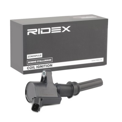 Ignition Coil RIDEX 689C0334 689C0334 - photo 3