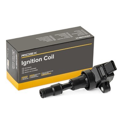Ignition Coil RIDEX 689C0495 689C0495 - photo 2
