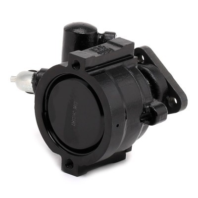 Hydraulic Pump, Steering System RIDEX 12H0104 12H0104 - photo 4