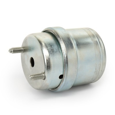 Engine Mounting RIDEX 247E1096 247E1096 - photo 4