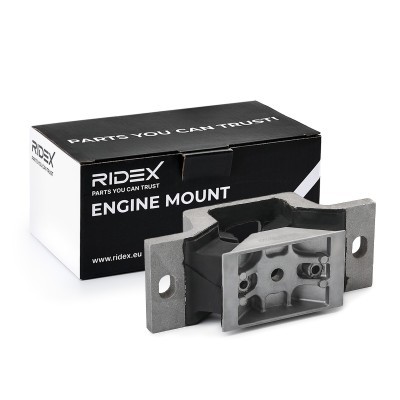 Engine Mounting RIDEX 247E0895 247E0895 - photo 2
