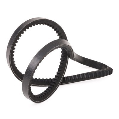 V-Belt RIDEX 10C0024P 10C0024P - photo 3