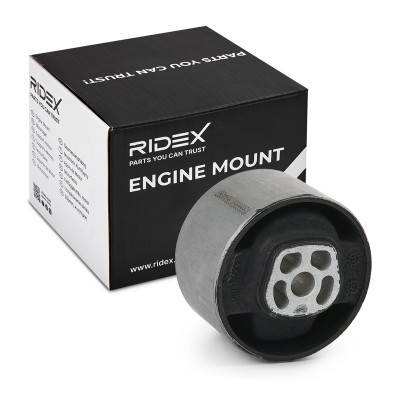 Engine Mounting RIDEX 247E0138 247E0138 - photo 2