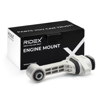 Engine Mounting RIDEX 247E0999 247E0999 - photo 2