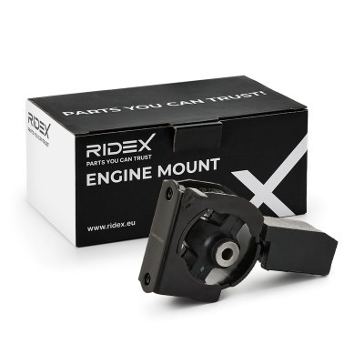 Engine Mounting RIDEX 247E1071 247E1071 - photo 2