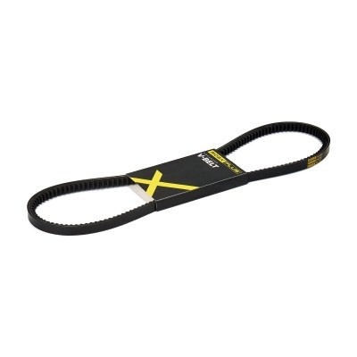 V-Belt RIDEX 10C0049P 10C0049P - photo 1