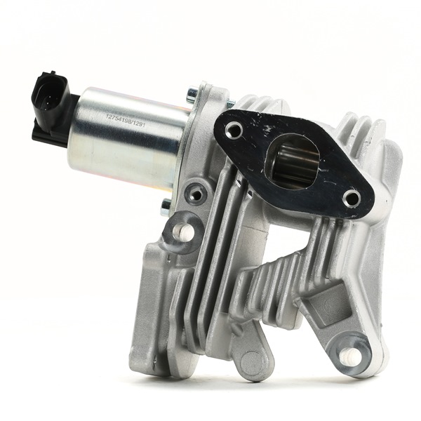 EGR Valve Stark SKEGR-0770178 SKEGR-0770178 - photo 1