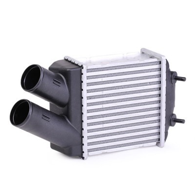 Intercooler, Charger RIDEX 468I0061 468I0061 - photo 3