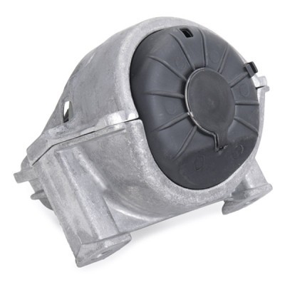 Engine Mounting RIDEX 247E0253 247E0253 - photo 4
