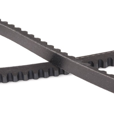 V-Belt RIDEX 10C0117P 10C0117P - photo 5