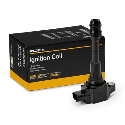 Ignition Coil RIDEX 689C0333 689C0333 - photo 2