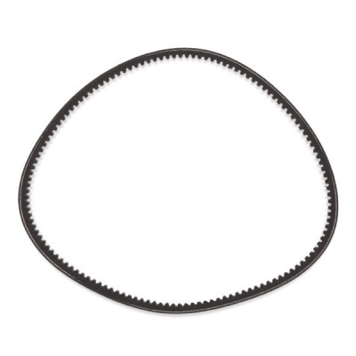 V-Belt RIDEX 10C0024P 10C0024P - photo 4