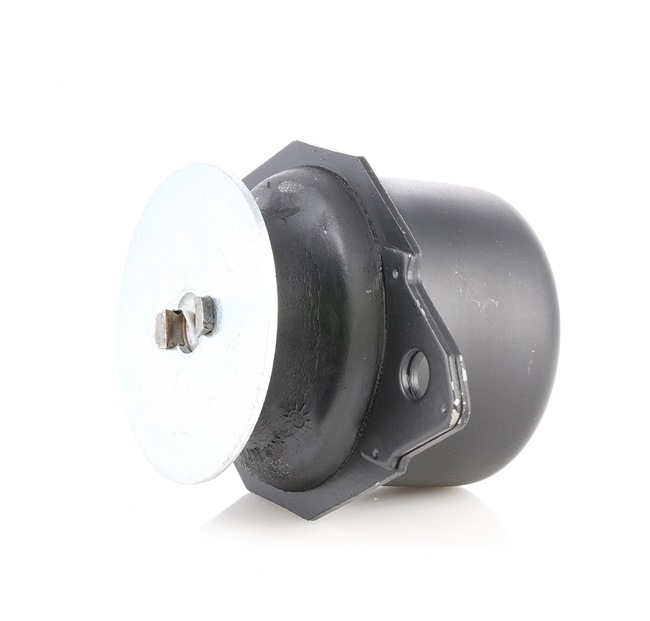 Engine Mounting RIDEX 247E0013 247E0013 - photo 1