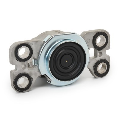 Engine Mounting RIDEX 247E0456 247E0456 - photo 4