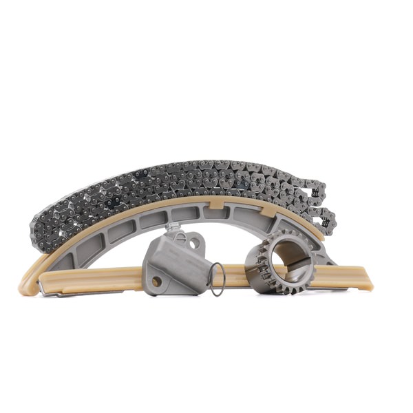 Timing chain kit RIDEX 1389T2495 1389T2495 - photo 1